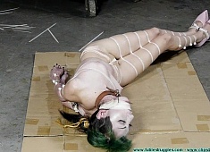 Vesper Leashed, Paraded, Strung Up, and Then Hogzipped - Part 3