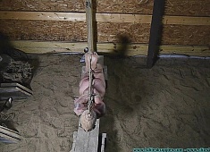 Illustrious Rouge Is Welcomed Back with a Tight Crotchrope and a Hooded Hogtie - Part 4