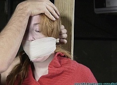 Attitude Adjustment for Ginger - Part 1