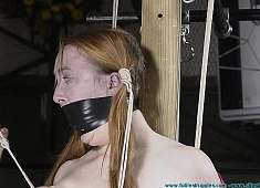 Attitude Adjustment for Ginger - Part 2
